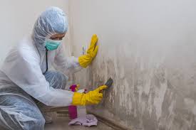 Environmental Consulting for Mold Prevention in Hidden Meadows, CA